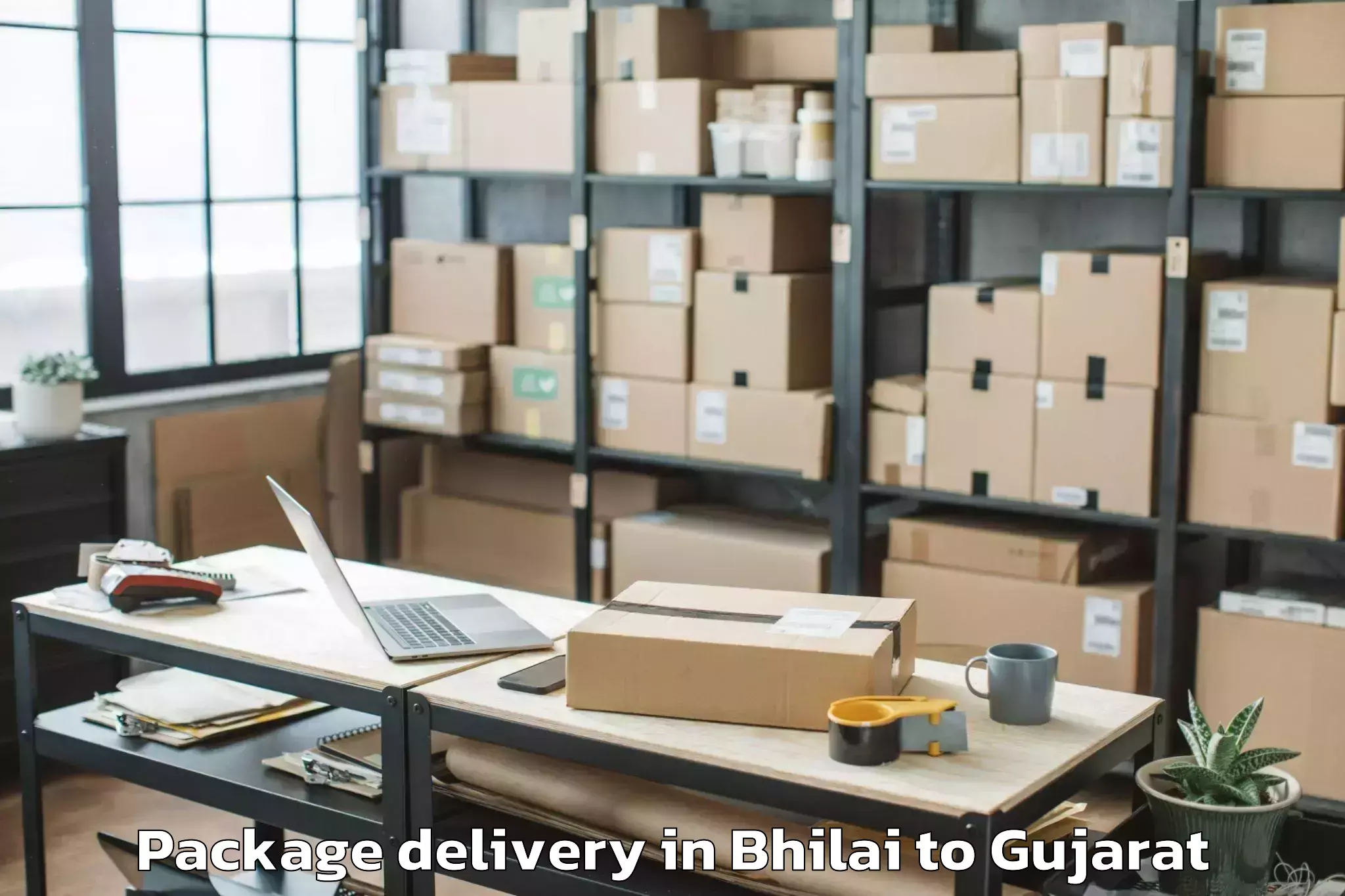 Book Bhilai to Vanthali Package Delivery Online